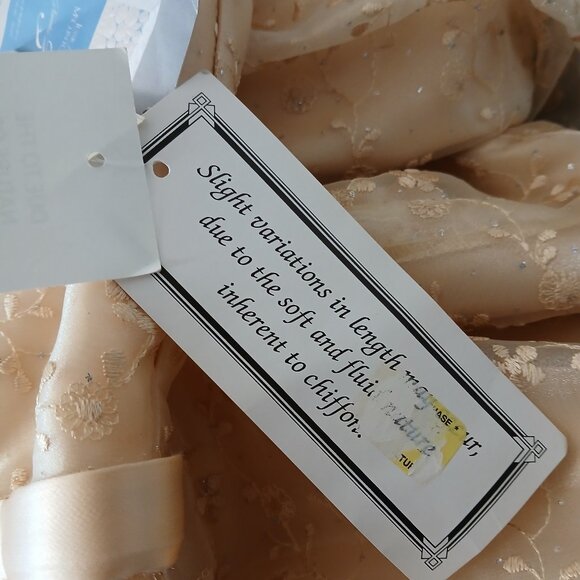 NWT Jessica McClintock Vintage Dress 14 Strapless Maxi Chiffon Peach Formal - Picture 13 of 13